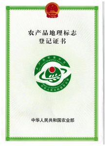 南京工厂绿化植物，装之前先看这几处